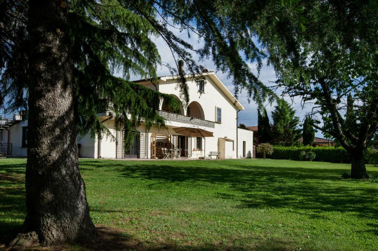 B&B Sentimento Del Tempo Viterbo Eksteriør bilde
